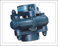 DL多角式聯(lián)軸器