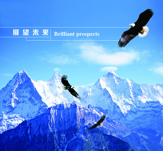 衡水市通大聯(lián)軸器有限公司